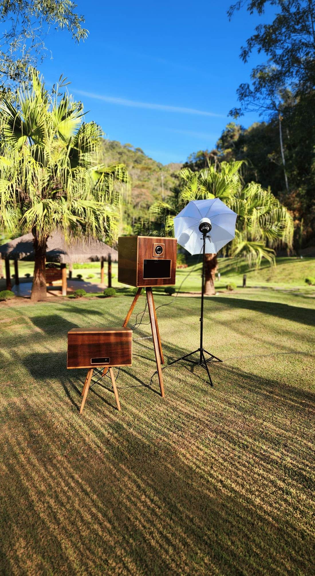 Câmera lambe-lambe vintage em jardim